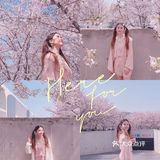 魔都樱花季🌸秒速五厘米的浪漫！