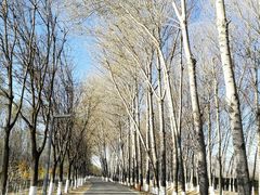 -东郊湿地公园