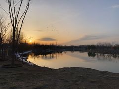 -东郊湿地公园