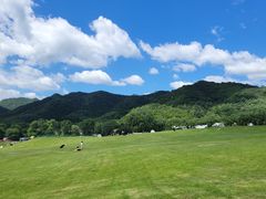 -玉渡山自然风景区