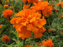 -金塔沙漠胡杨林景区