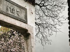 -绍兴鲁迅故里·沈园景区