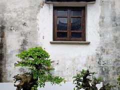 -青果巷历史文化街区