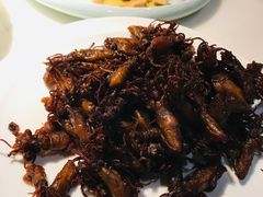 -日丰园海肠水饺·老字号大连海鲜(和平广场店)