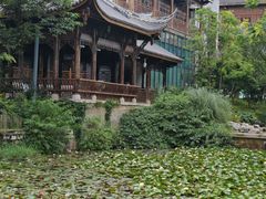 -花溪公园