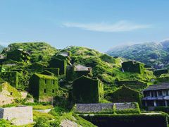 -枸杞岛