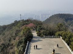 -杭州半山国家森林公园