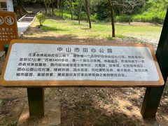 -田心森林公园