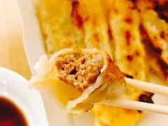 -陶然饺子城(奥体中路店)