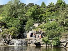 -北京西山国家森林公园