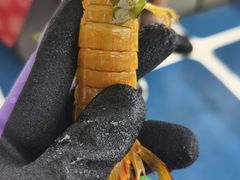 -日照世帆赛基地