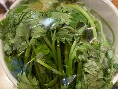 香菜-四喜小胖·北京涮肉(五道营店)