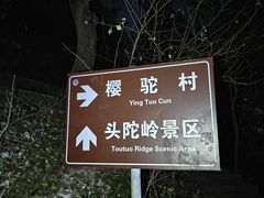 -紫金山山顶公园