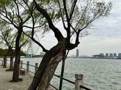 -无锡蠡湖国家湿地公园-蠡园