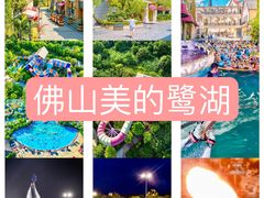 -美的鹭湖森林度假区