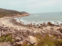 -广东惠东海龟国家级自然保护区