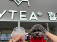 -喜茶(广州五羊邨店)
