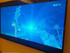 -六本木足裏(曲阜店)