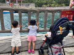 -广东惠东海龟国家级自然保护区