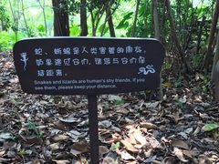 -华侨城湿地公园