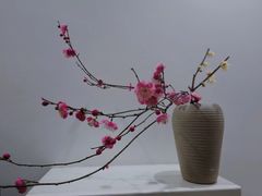 -初居食屋日式料理(万象城购物中心店)