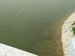 -函谷关历史文化旅游区
