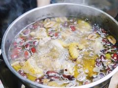 炭炉果鸡煲-威邵鸡煲(西华路总店)