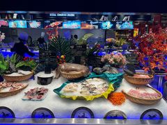 自助取餐区-SEA西雅图海鲜自助餐厅(海乐世界店)
