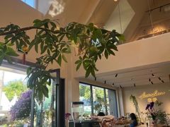 -花神·轻食简餐·咖啡馆·花卉绿植(荷兰花卉小镇店)