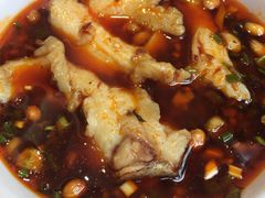 深水花鲢鱼-蜀滋香鲜鱼美蛙火锅(339店)