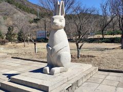 -北京十三陵国家森林公园蟒山景区