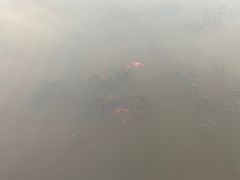 -前关湿地公园