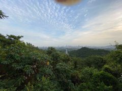 -火炉山森林公园