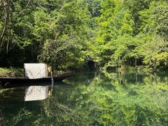 -石台牯牛降景区