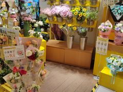 -首开·龙湖成都西宸天街