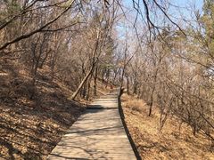 -帽儿山国家森林公园