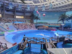-海合安成都极地海洋公园