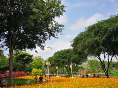 -顺峰山公园