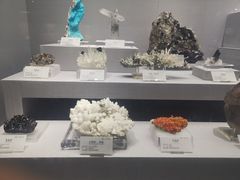 -湖南省地质博物馆