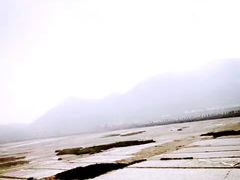 -北岐滩涂