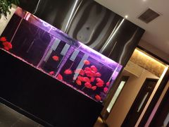 -大唐盲人按摩中心(黄山路店)