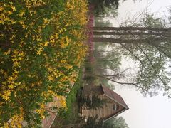 顺鑫绿色度假村贵宾楼-顺鑫绿色度假村