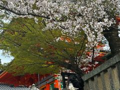 -京都冈本和服体验租赁店(清水寺店)