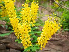 -舒家湾天主教堂