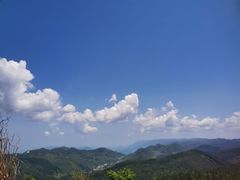 -武陵山森林公园