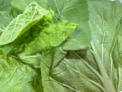 -银同牦牛肉火锅