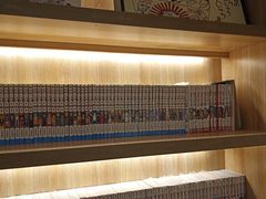 -滚猫咖啡·猫咖·猫友好撸猫(未来城店)
