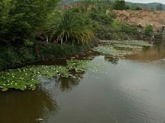 -世界恐龙谷景区