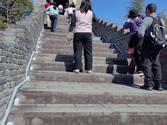 -黄贤森林公园