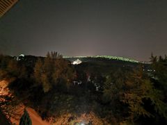 -武汉大学-樱园